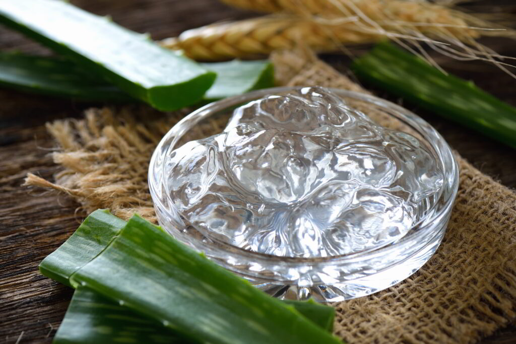 how to use aloe vera for skin care guide