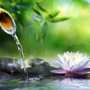 Calming Toner - Image.